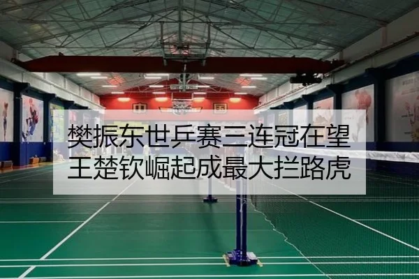 fan-zhen-dong-shi-ping-sai-san-lian-guan-zai-wang-wang-chu-qin-jue-qi-cheng-zui-da-lan-lu-hu-3-678.jpg